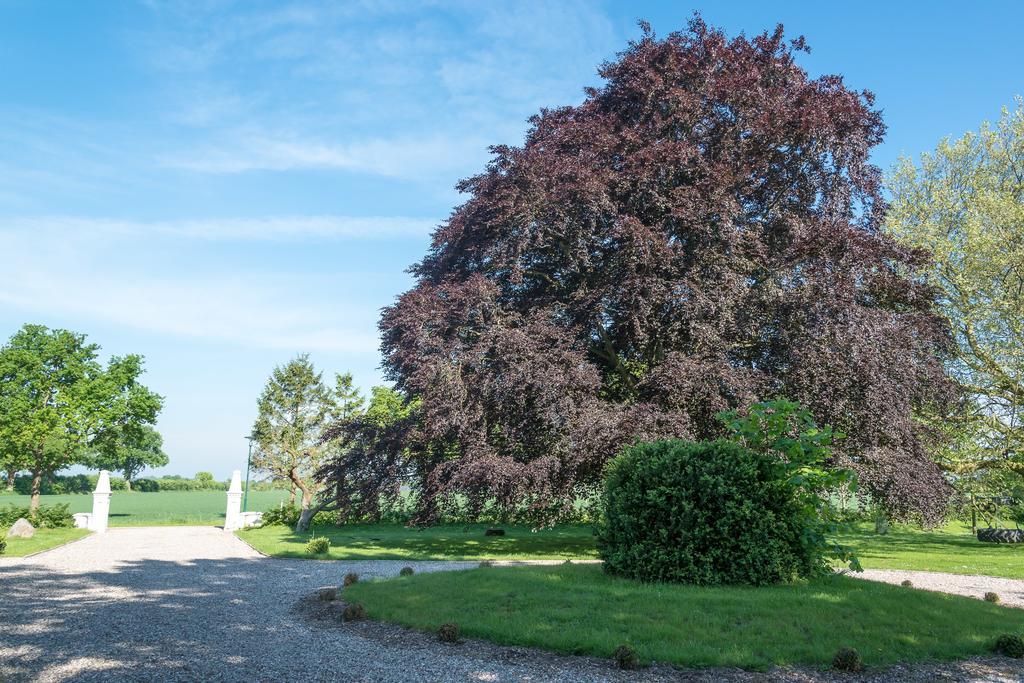 Ferienhof Kolauerhof - Bauernhofurlaub In Groemitz Grömitz Exterior foto